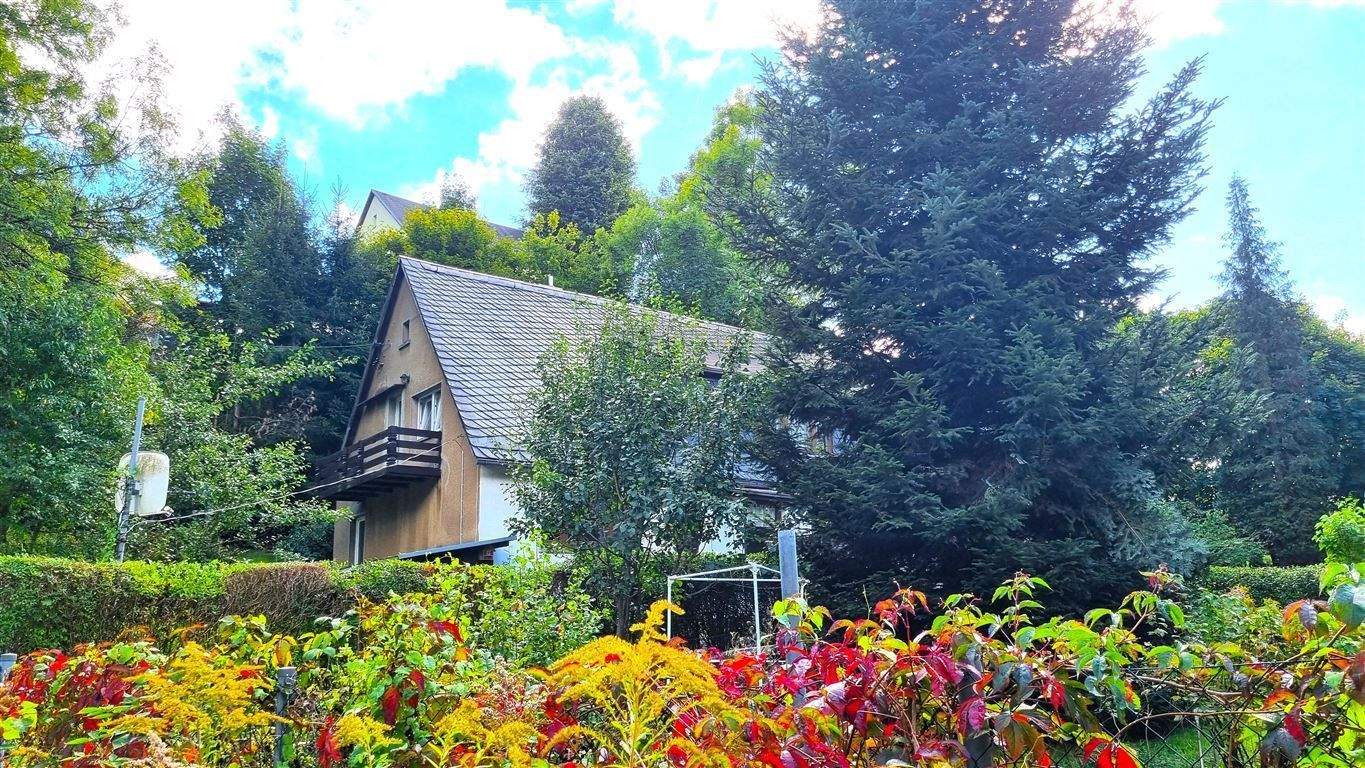 Einfamilienhaus zum Kauf - Ansicht 4