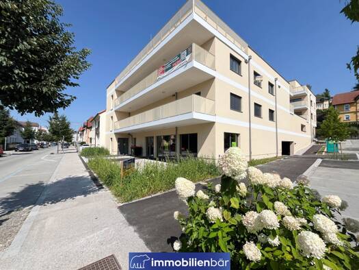 Terrassenwohnung zum Kauf - Erstbezug provisionsfrei 197.649 € 2 Zimmer 47,7 m² Doktor-Müllner-Platz 15 Grieskirchen 4710