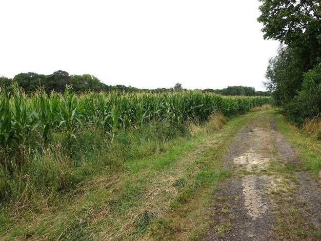Landwirtschaftliche Fläche zum Kauf 238.232 m² Grundstück Martfeld Martfeld 27327