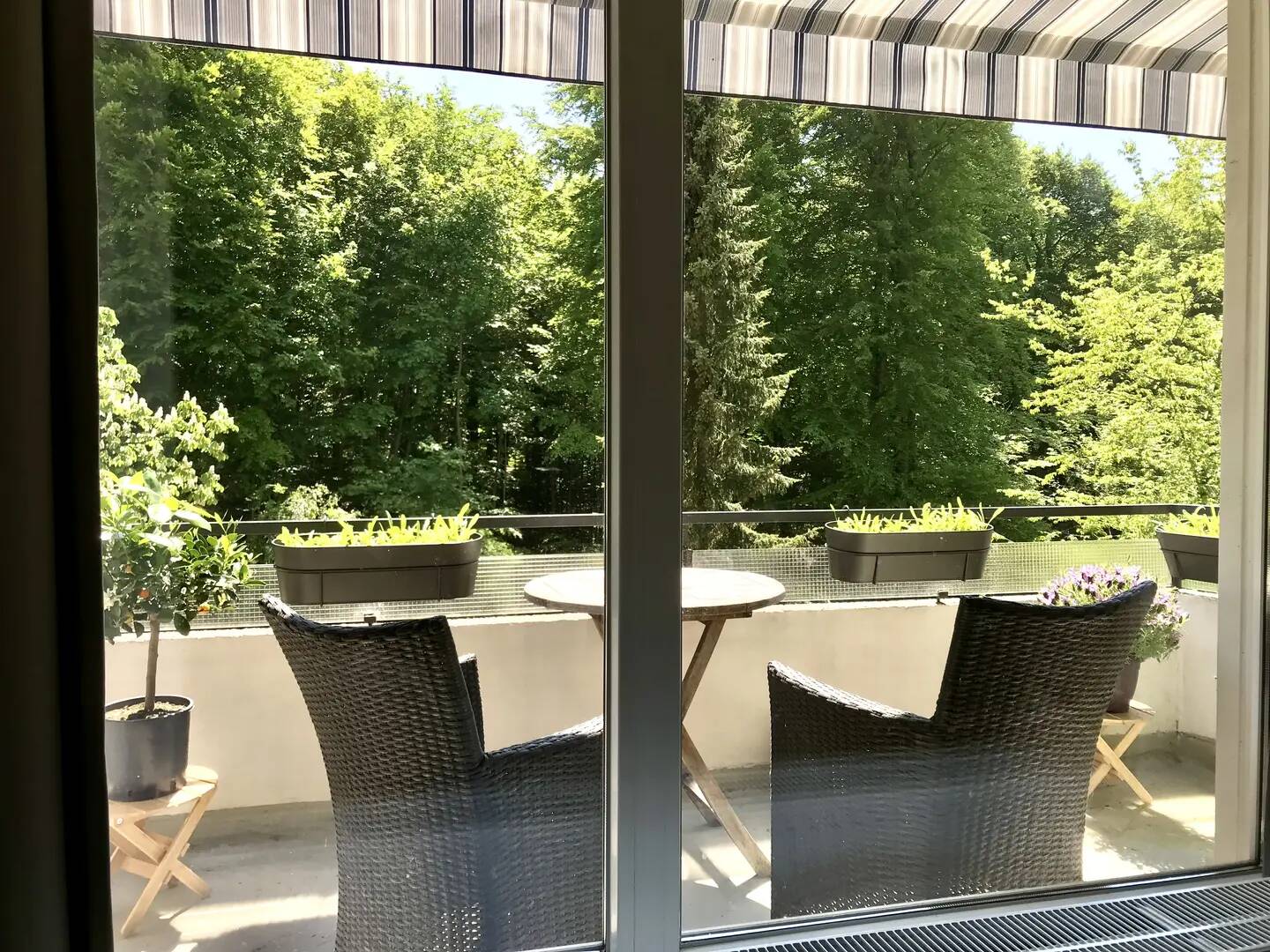 Property thumbnail 4