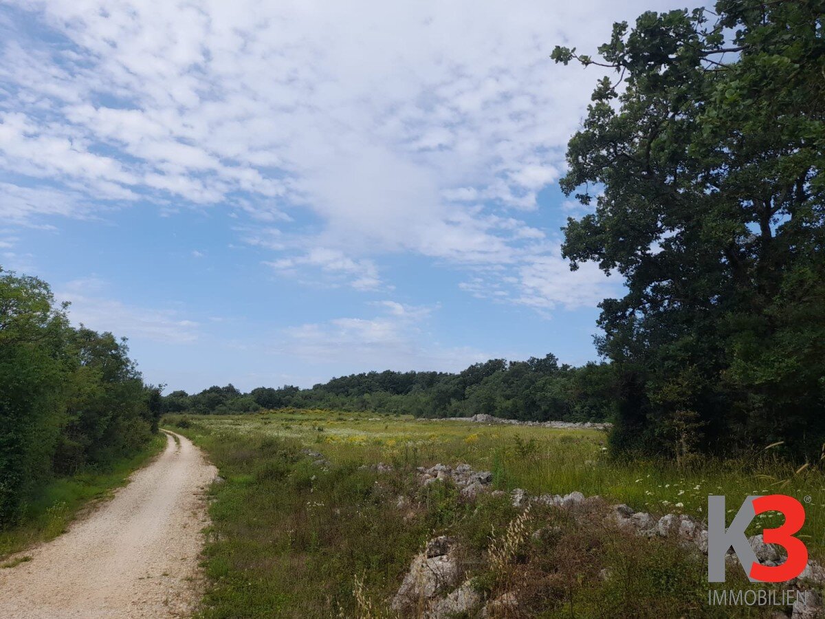 Land-/Forstwirtschaft zum Kauf 352.000 € 21.206 m²<br/>Grundstück Rovinj 52210