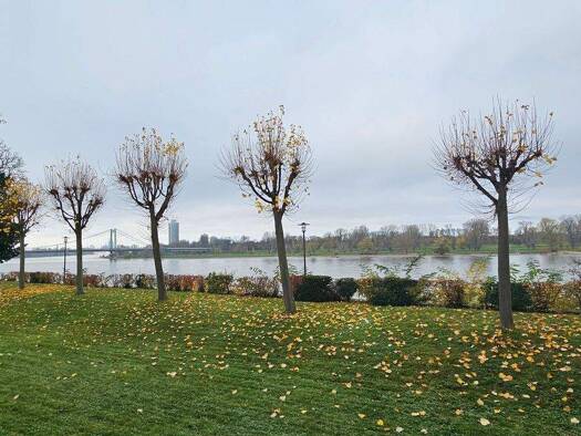 Wohnung zum Kauf 279.500 € 3 Zimmer 75 m² EG Mülheim Köln 51063