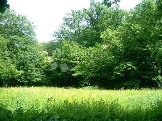 Haus zum Kauf 170.000 € 5 Zimmer 137 m² Ogulin