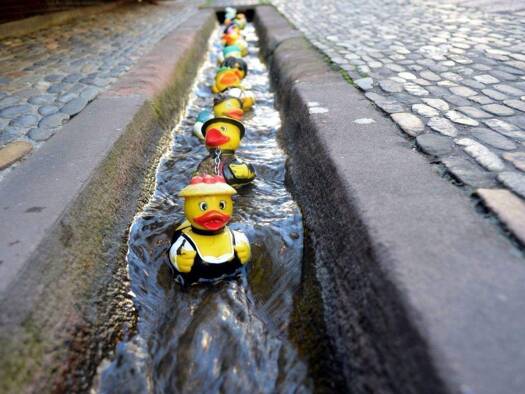 Wohnung zum Kauf provisionsfrei 255.000 € 2 Zimmer 35,9 m² UG Malteserordensstraße 13 St. Georgen Freiburg im Breisgau 79111