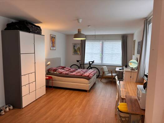 Wohnung zur Miete 490 € 1 Zimmer 38 m² Geschoss EG/3 frei ab 15.12.2025 Dußlingen 72144