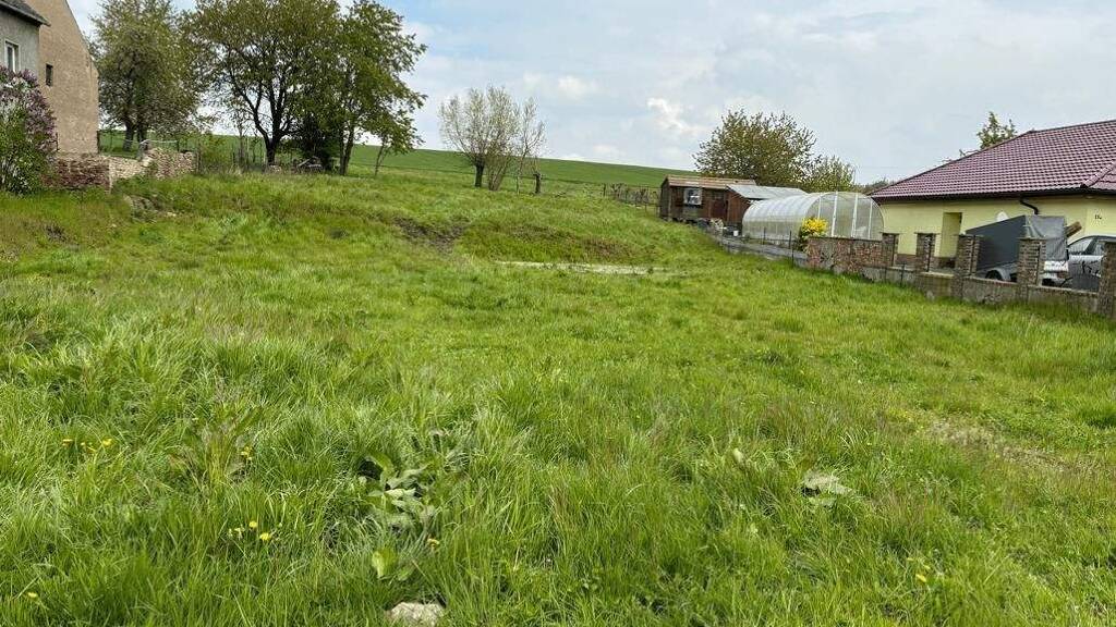 Land-/Forstwirtschaft zum Kauf 77.000 € 1.900 m² Grundstück Cannewitz Grimma 04668