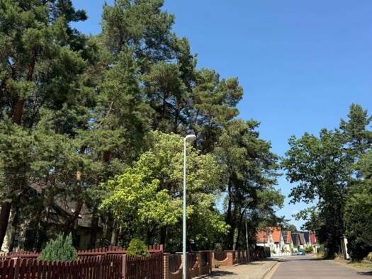 Grundstück zum Kauf 90.000 € 3.500 m² Grundstück Waldstraße 11 Plodda Muldestausee 06774