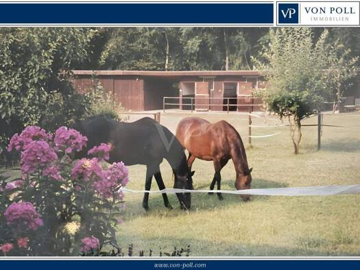 Einfamilienhaus zum Kauf 470.000 € 5 Zimmer 150 m² 9.596 m² Grundstück Oetzen 29588