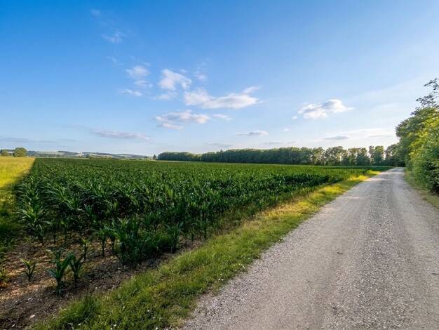 Land-/Forstwirtschaft zum Kauf 23.090 m² Grundstück Weng Weng 84187
