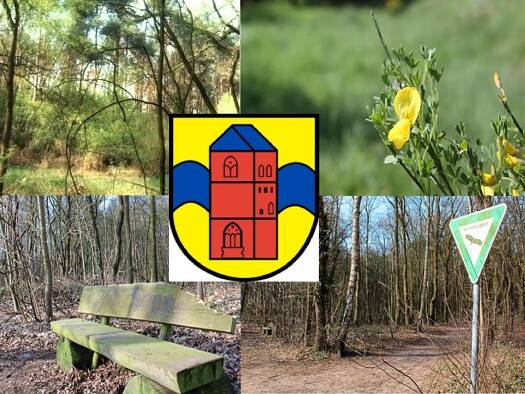 Wohnung zur Miete 460 € 2,5 Zimmer 90 m² 1. Geschoss Aschendorf 26871