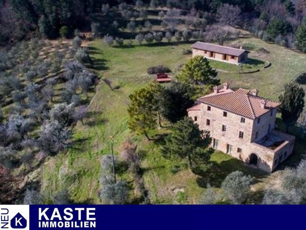 Haus zum Kauf 800.000 € 8 Zimmer 520 m² 100.000 m² Grundstück Rivalto 56034