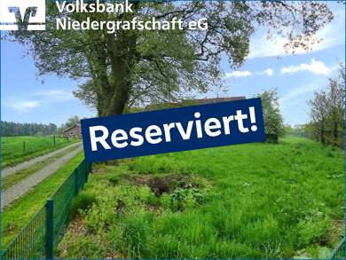 Haus zum Kauf provisionsfrei 410.000 € 12 Zimmer 236 m² 8.000 m² Grundstück Steinberg 4 Wilsum 49849