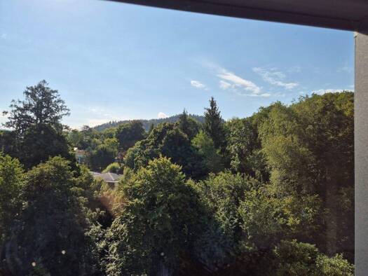 Doppelhaushälfte zum Kauf provisionsfrei 1.650.000 € 7,5 Zimmer 270 m² 538 m² Grundstück frei ab sofort Innenstadt Baden-Baden 76530