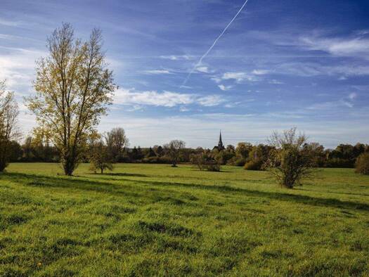 Grundstück zum Kauf 293.150 € 451 m² Grundstück Geltow 14548