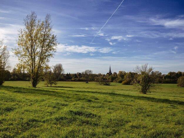 Grundstück zum Kauf 293.150 € 451 m² Grundstück Geltow Schwielowsee 14548