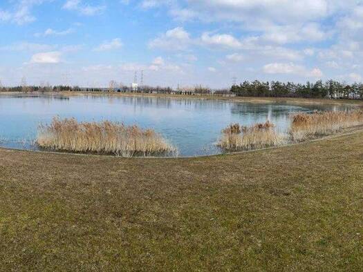 Grundstück zum Kauf 115.000 € 516 m² Grundstück Trasdorf 3452