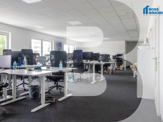 Bürofläche zur Miete 2.850 € 380 m² Bürofläche Randlstraße 18a Pasching 4061