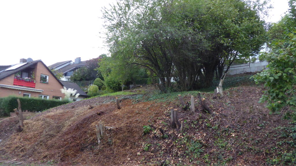 Grundstück zum Kauf 200.000 € 311 m² Grundstück Dilsberg Neckargemünd 69151