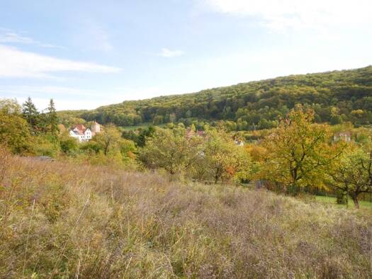 Grundstück zum Kauf 25.000 € 1.125 m² Grundstück frei ab sofort Ziegenhainer Oberweg Ziegenhain Jena 07749