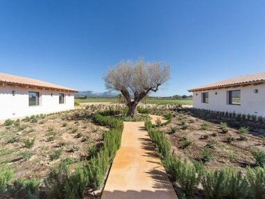 Finca zum Kauf 6.800.000 € 6 Zimmer 942 m² 50.000 m² Grundstück Santa María del Camí 07320