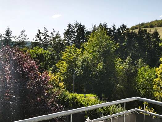 Wohnung zur Miete 430 € 2 Zimmer 41 m² frei ab 01.01.2027 Kasel 54317