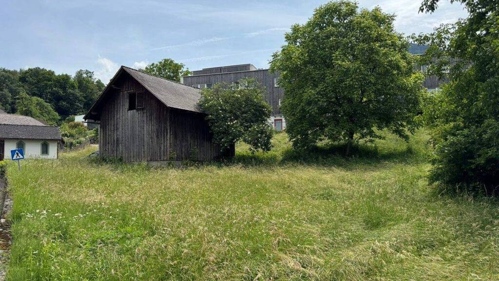 Grundstück zum Kauf 494.000 € 835 m² Grundstück Mariexner Strasse Nenzing 6710