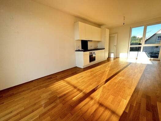 Wohnung zur Miete 972 € 3 Zimmer 60 m² 2. Geschoss Liebenauer Hauptstraße Liebenau Graz 8041