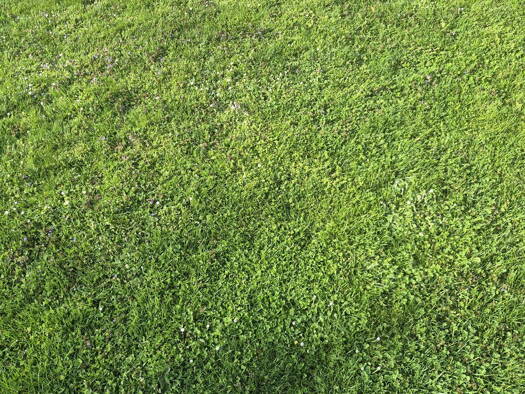 Grundstück zum Kauf provisionsfrei 199.000 € 414 m² Grundstück Hollabrunn 2020