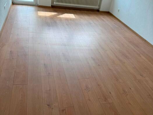 Wohnung zur Miete 500 € 1 Zimmer 33 m² Geschoss 2/3 frei ab 01.09.2026 Ringstraße 18 a Singen Singen (Hohentwiel) 78224