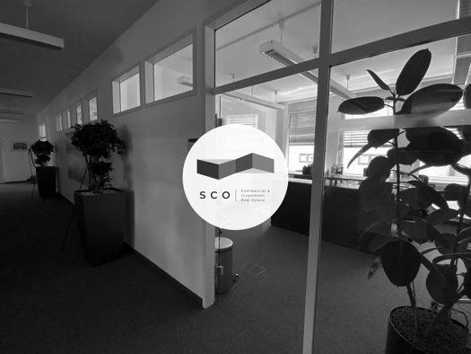 Verkaufsfläche zur Miete provisionsfrei 9 € 5 Zimmer 320 m² Verkaufsfläche Goddelau Riedstadt 64560