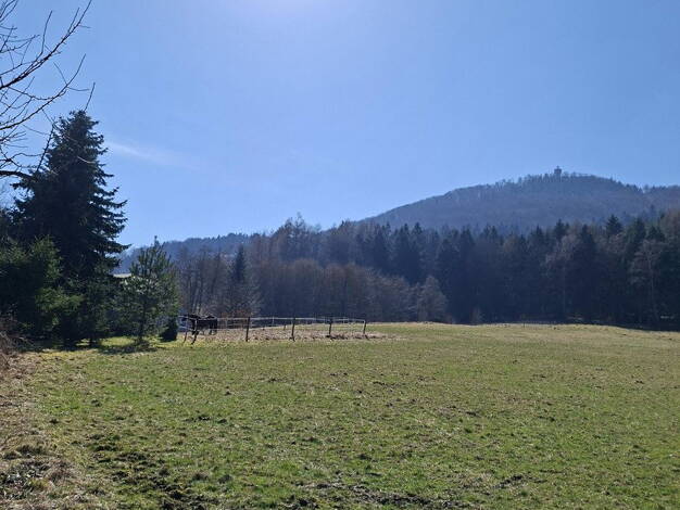Einfamilienhaus zum Kauf provisionsfrei 169.000 € 5 Zimmer 100 m² 1.300 m² Grundstück Hauptstraße 139 Waltersdorf Großschönau 02799