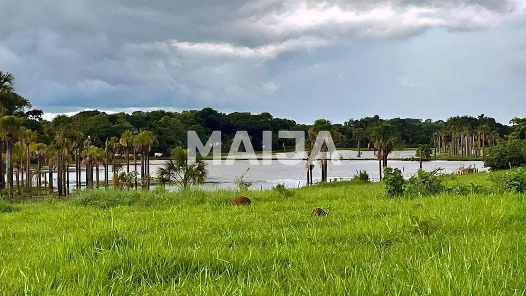 Land-/Forstwirtschaft zum Kauf 69.675.350 € 20.500.000 m² Grundstück Rio Verde 78580-000