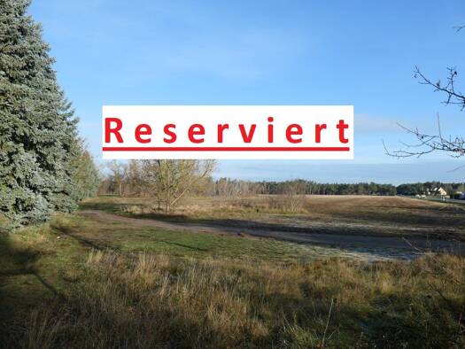 Grundstück zum Kauf 79.000 € 4.213 m² Grundstück frei ab sofort Neuendorf Lübben (Spreewald) 15907