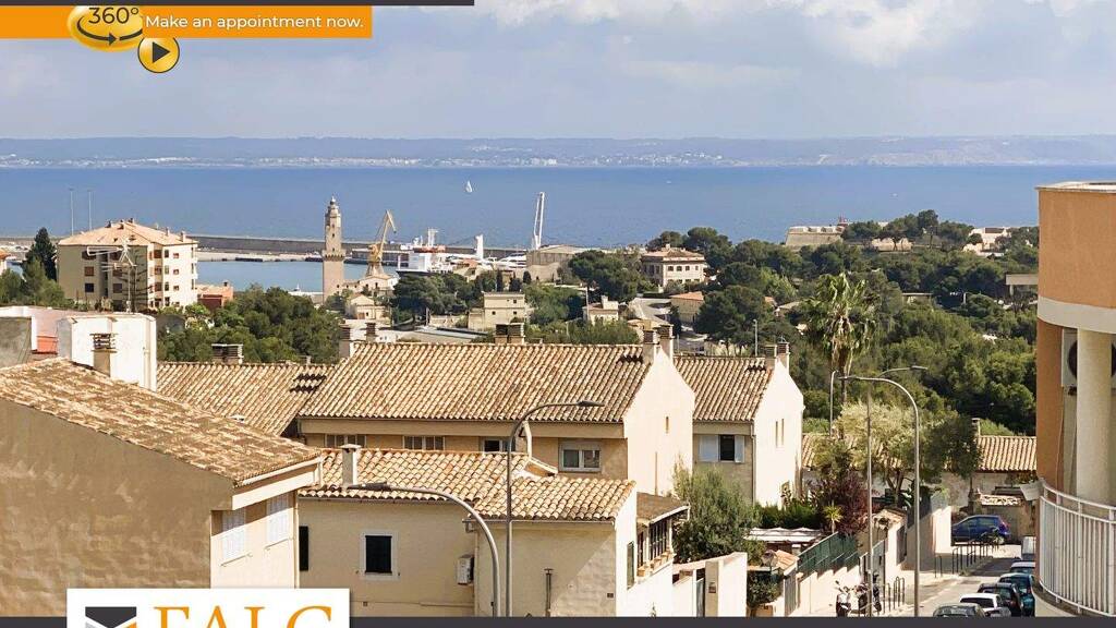 Wohnung zum Kauf provisionsfrei 371.000 € 2 Zimmer 50 m² 4. Geschoss Palma 07015