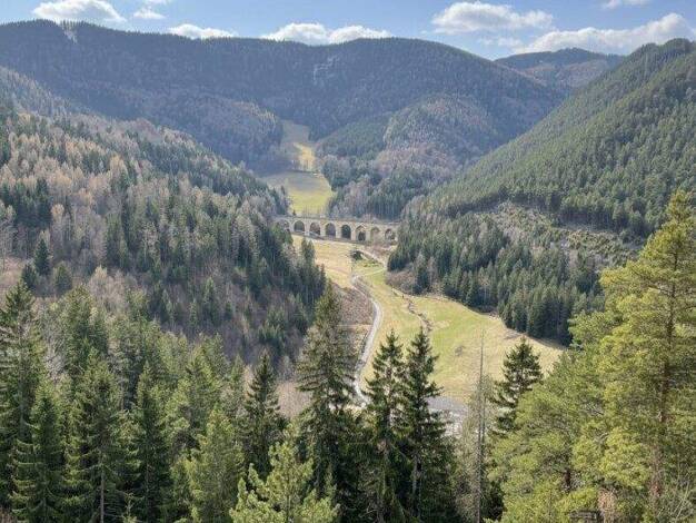 Wohnung zum Kauf 95.000 € 40 m² Semmering 2680