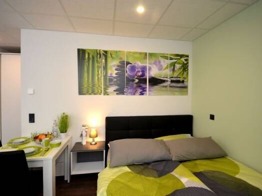 Studio zur Miete 1.145 € 1 Zimmer 31 m² frei ab sofort Kaiserstraße 73 Offenbach am Main Offenbach am Main 63065