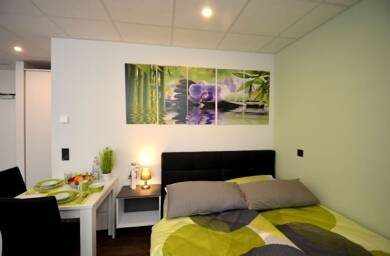 Studio zur Miete 1.145 € 1 Zimmer 31 m² Kaiserstraße 73 Offenbach am Main Offenbach am Main 63065