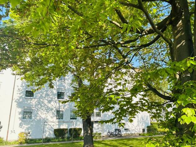 Wohnung zum Kauf 249.000 € 3,5 Zimmer 83 m² 2. Geschoss frei ab sofort Walldorf 69190