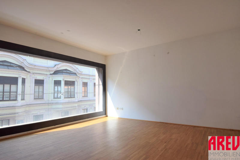 Wohnung zur Miete 579 € 2 Zimmer 55,2 m²<br/>Wohnfläche 2.<br/>Geschoss Rudigierstraße 10a Linz Linz 4020