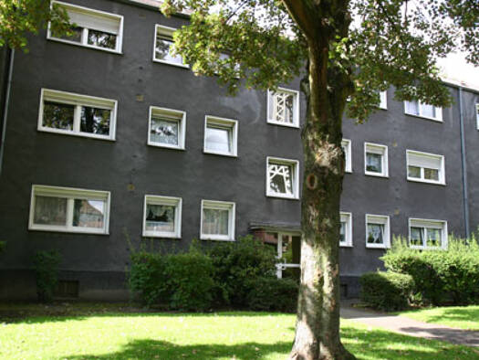 Studio zur Miete 359 € 1 Zimmer 34 m² 1. Geschoss Niederstraße 27 Nordviertel Essen 45141