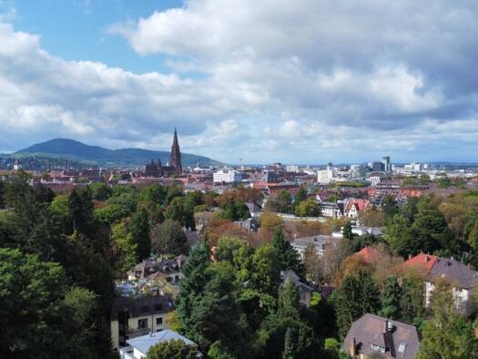 Penthouse zum Kauf 1.890.000 € 6 Zimmer 184 m² 3. Geschoss Neuburg Freiburg im Breisgau 79104