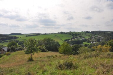 Land-/Forstwirtschaft zum Kauf 42.000 € 4.500 m² Grundstück Holzmülheim Nettersheim 53947