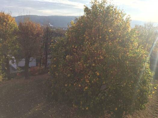 Studio zur Miete 750 € 3 Zimmer 74 m² 2. Geschoss frei ab sofort Aalen 73431