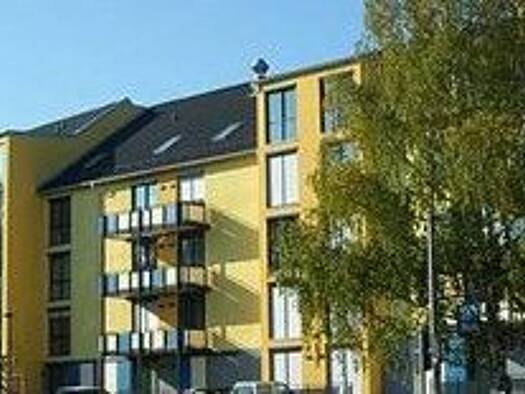 Wohnung zur Miete 445 € 1 Zimmer 29 m² Geschoss 1/5 frei ab 02.04.2026 Frankengutstraße 10 Birken Bayreuth 95447