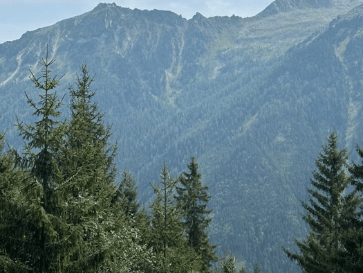 Schloss zum Kauf 10.000.000 € 30 Zimmer 800 m² 11.000 m² Grundstück Bozen 39100
