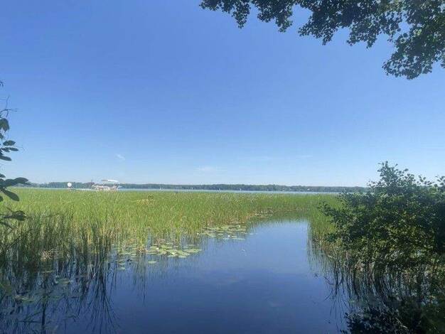 Wohnung zur Miete 1.390 € 3 Zimmer 100 m² EG frei ab 01.05.2026 Friedrich-Engels-Damm 83 Bad Saarow-Pieskow Bad Saarow 15526