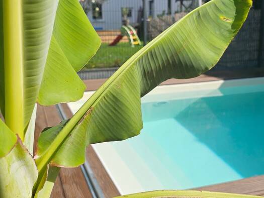 Einfamilienhaus zum Kauf provisionsfrei 950.000 € 5 Zimmer 147 m² 449 m² Grundstück Langendiebach Erlensee 63526