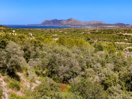 Grundstück zum Kauf 916.000 € 1.500 m² Grundstück Pollen?a 07460