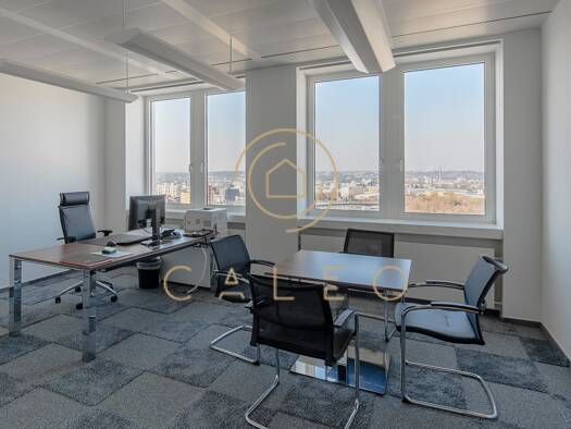 Bürofläche zur Miete provisionsfrei 13 € 1.341 m² Bürofläche teilbar ab 300 m² Offenbach am Main 63065