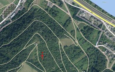 Land-/Forstwirtschaft zum Kauf provisionsfrei 1.200 € 730 m² 730 m² Grundstück Rheingoldstraße östlich Oberdiebach Oberdiebach 55413